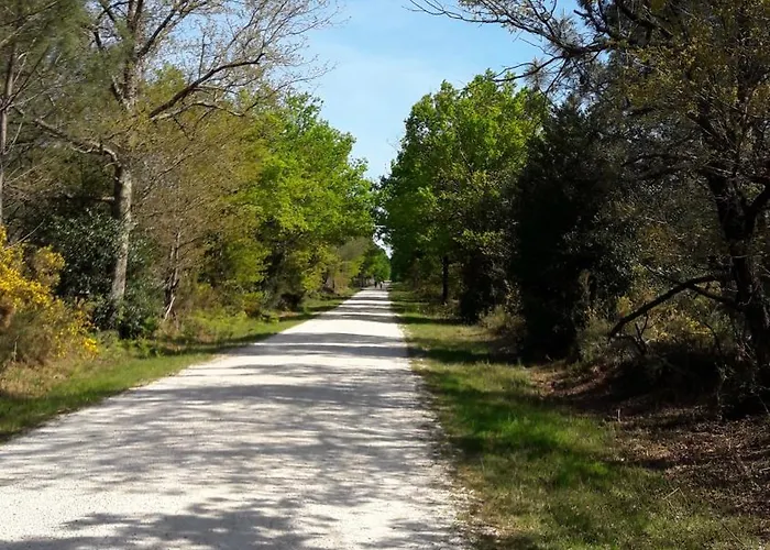Restaurant Les Bruyeres 2* Saint-Médard-en-Jalles